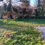 La Chouette Hulotte Casa vacanze *